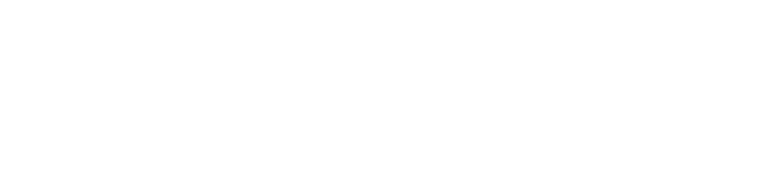 WISO S.E. Consulting GmbH